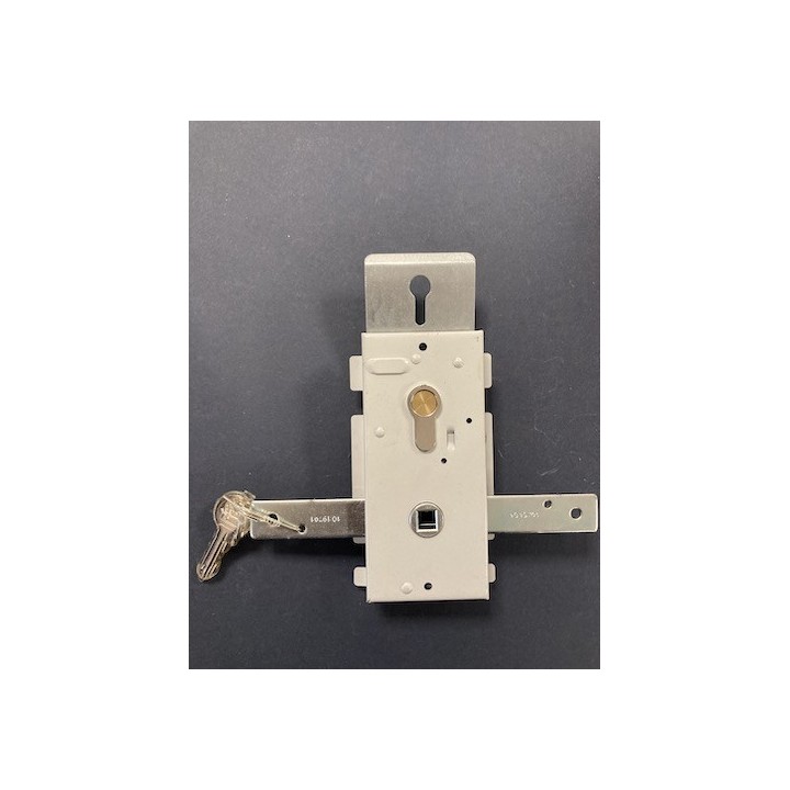 Serrure porte basculante N80 / F80 Hormann Référence 1019701