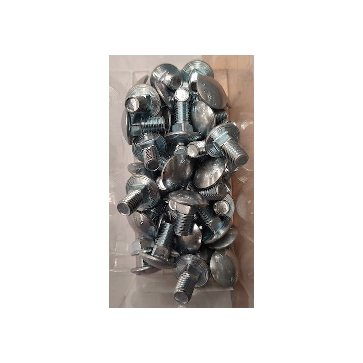Lot de 10 Vis à tête bombée M8 X 16 à collet carré Hormann Référence 3006980