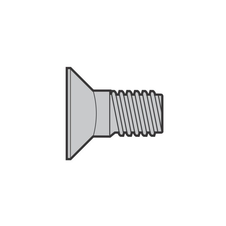Lot de 10 Boulons à tête fraisée M5 x 12 avec Torx Hormann Référence 3092705