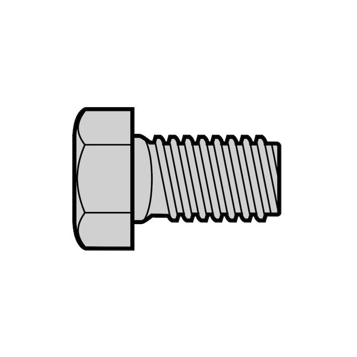 Lot de 10 Vis à six pans avec cuvette M8 x 18, galvanisée Hormann Référence 3007928