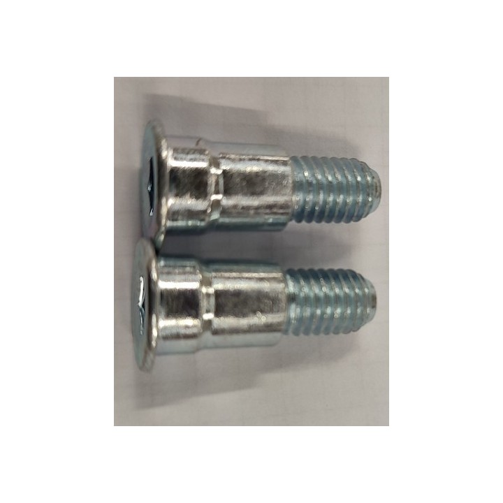 Lot de 2 Vis / Boulon fileté porte N80 Hormann / Ecostar Référence 1004093